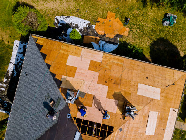 Best Roof Maintenance Services  in Manassas Park, VA