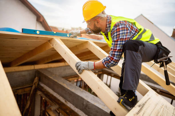 Best Roof Gutter Cleaning  in Manassas Park, VA