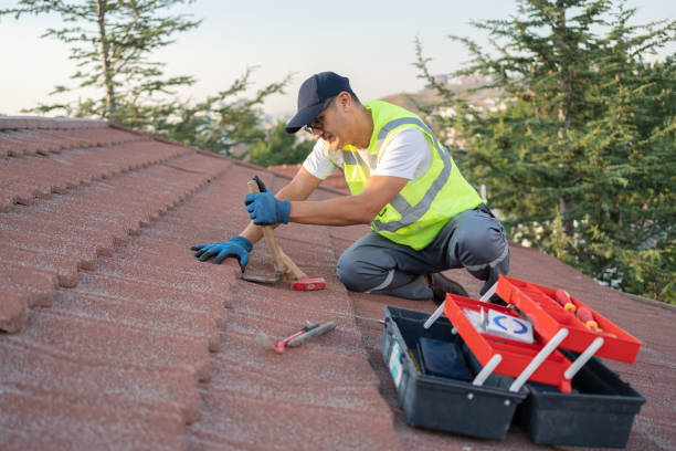 Best Gutter Installation and Roofing  in Manassas Park, VA