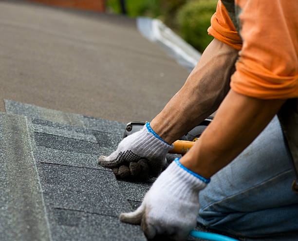 Roof Waterproofing Services in Manassas Park, VA
