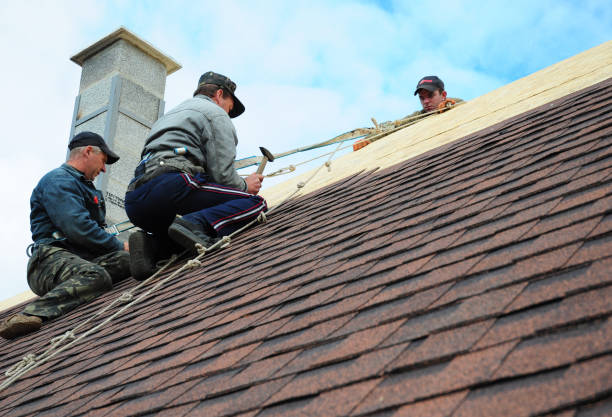 Best Roof Inspection Near Me  in Manassas Park, VA