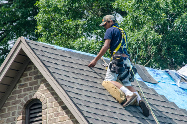 Best Roof Restoration Services  in Manassas Park, VA